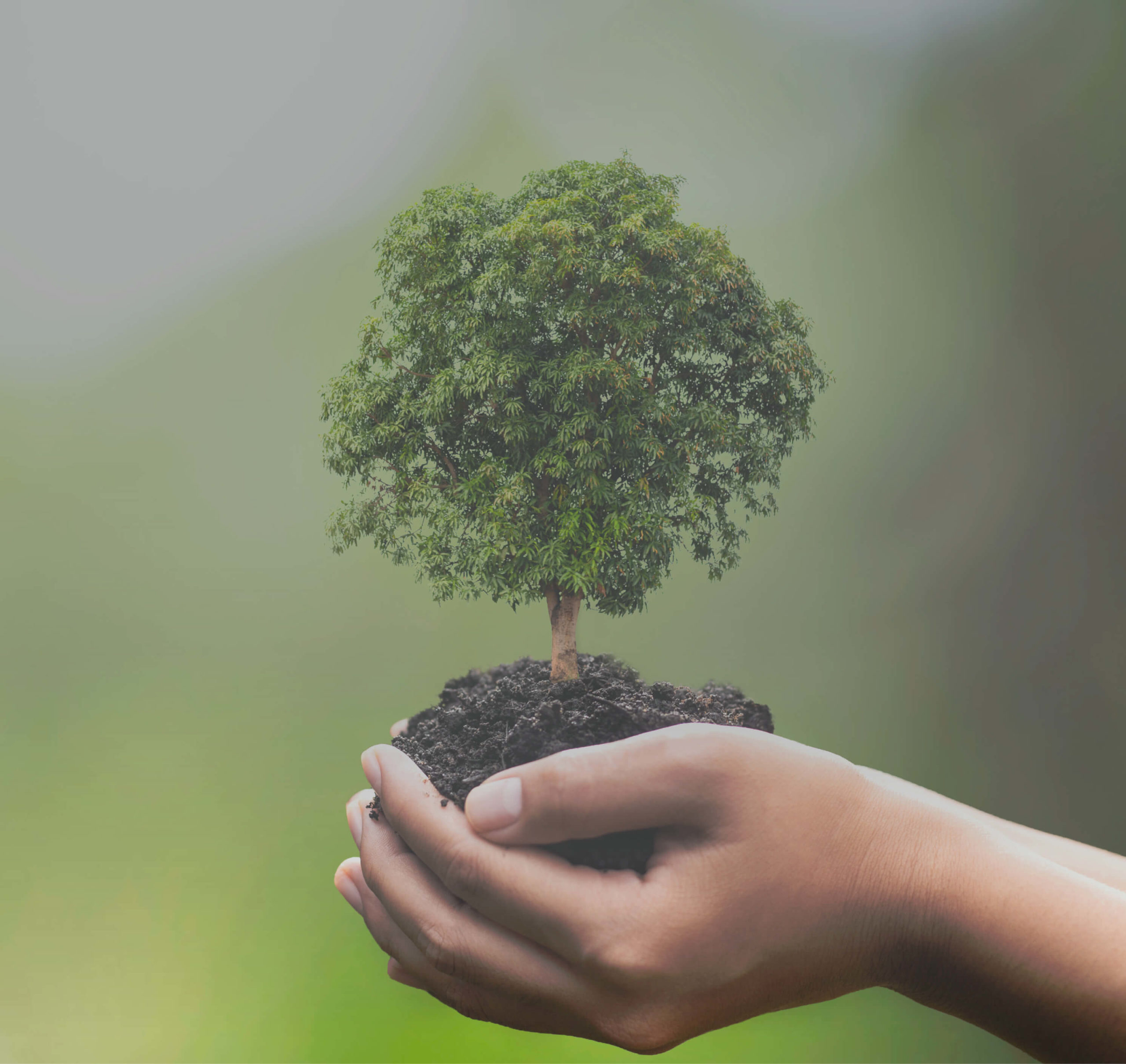 112 trees planted and counting..