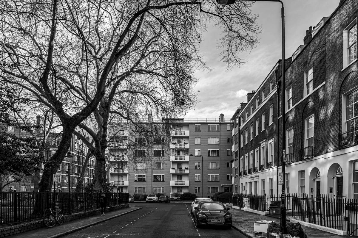 A London street with a mix of old townhouses and modern flats around a large tree